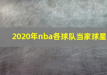 2020年nba各球队当家球星