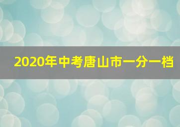 2020年中考唐山市一分一档