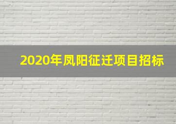 2020年凤阳征迁项目招标