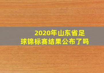 2020年山东省足球锦标赛结果公布了吗