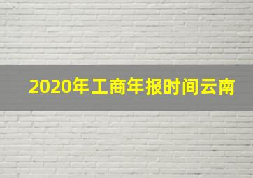 2020年工商年报时间云南