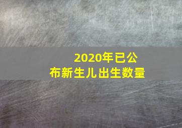 2020年已公布新生儿出生数量