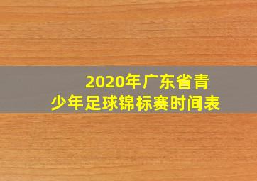 2020年广东省青少年足球锦标赛时间表