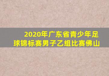 2020年广东省青少年足球锦标赛男子乙组比赛佛山