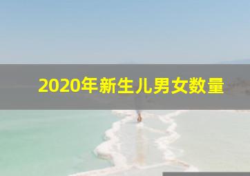 2020年新生儿男女数量