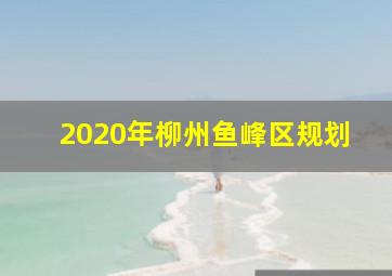 2020年柳州鱼峰区规划