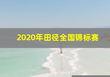 2020年田径全国锦标赛