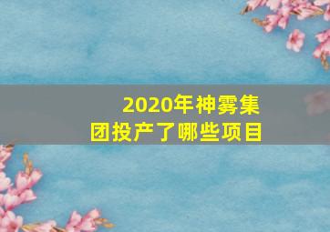 2020年神雾集团投产了哪些项目