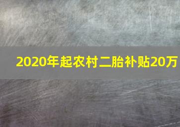 2020年起农村二胎补贴20万