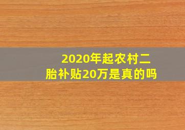 2020年起农村二胎补贴20万是真的吗