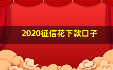 2020征信花下款口子