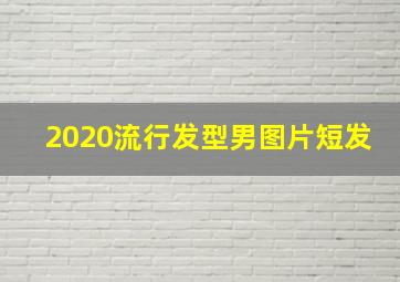 2020流行发型男图片短发