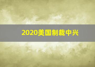 2020美国制裁中兴