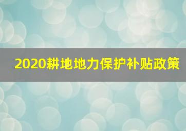 2020耕地地力保护补贴政策