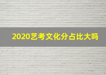 2020艺考文化分占比大吗