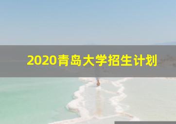 2020青岛大学招生计划