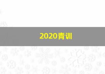 2020青训