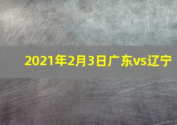 2021年2月3日广东vs辽宁