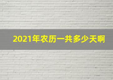 2021年农历一共多少天啊