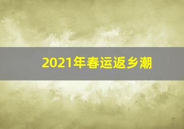 2021年春运返乡潮