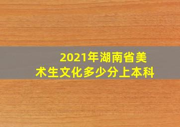 2021年湖南省美术生文化多少分上本科