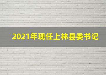 2021年现任上林县委书记