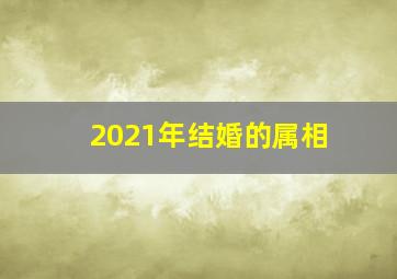 2021年结婚的属相