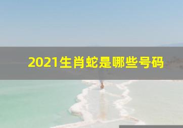 2021生肖蛇是哪些号码