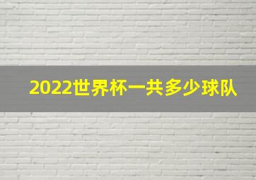 2022世界杯一共多少球队