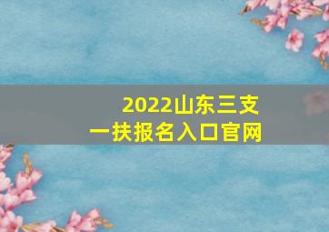 2022山东三支一扶报名入口官网