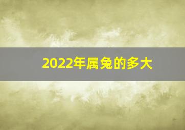 2022年属兔的多大