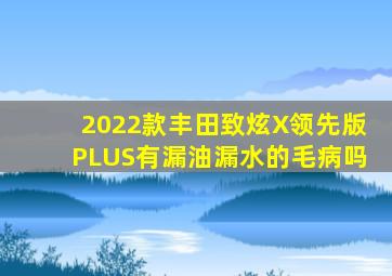 2022款丰田致炫X领先版PLUS有漏油漏水的毛病吗