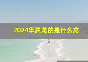 2024年属龙的是什么龙