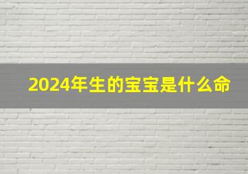 2024年生的宝宝是什么命