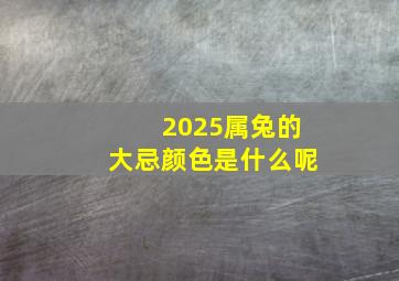 2025属兔的大忌颜色是什么呢