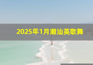 2025年1月潮汕英歌舞