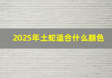 2025年土蛇适合什么颜色