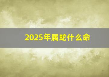 2025年属蛇什么命