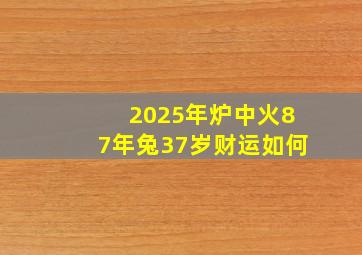 2025年炉中火87年兔37岁财运如何