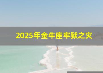 2025年金牛座牢狱之灾