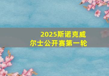 2025斯诺克威尔士公开赛第一轮