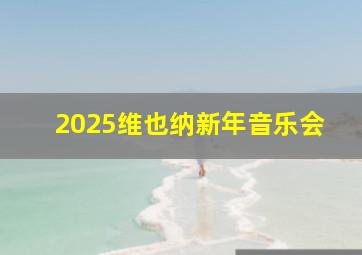 2025维也纳新年音乐会