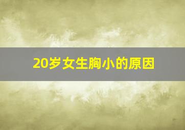 20岁女生胸小的原因