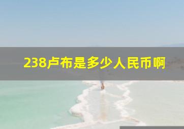 238卢布是多少人民币啊