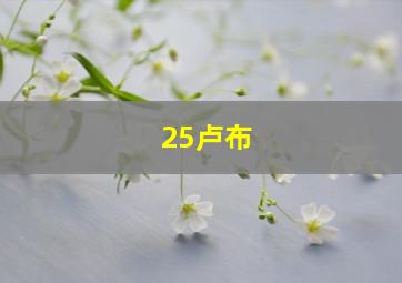 25卢布