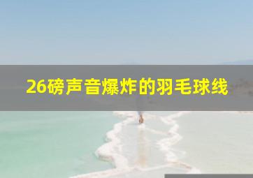 26磅声音爆炸的羽毛球线