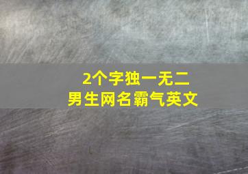 2个字独一无二男生网名霸气英文