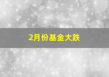 2月份基金大跌