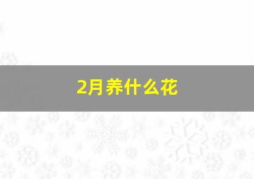 2月养什么花