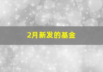 2月新发的基金